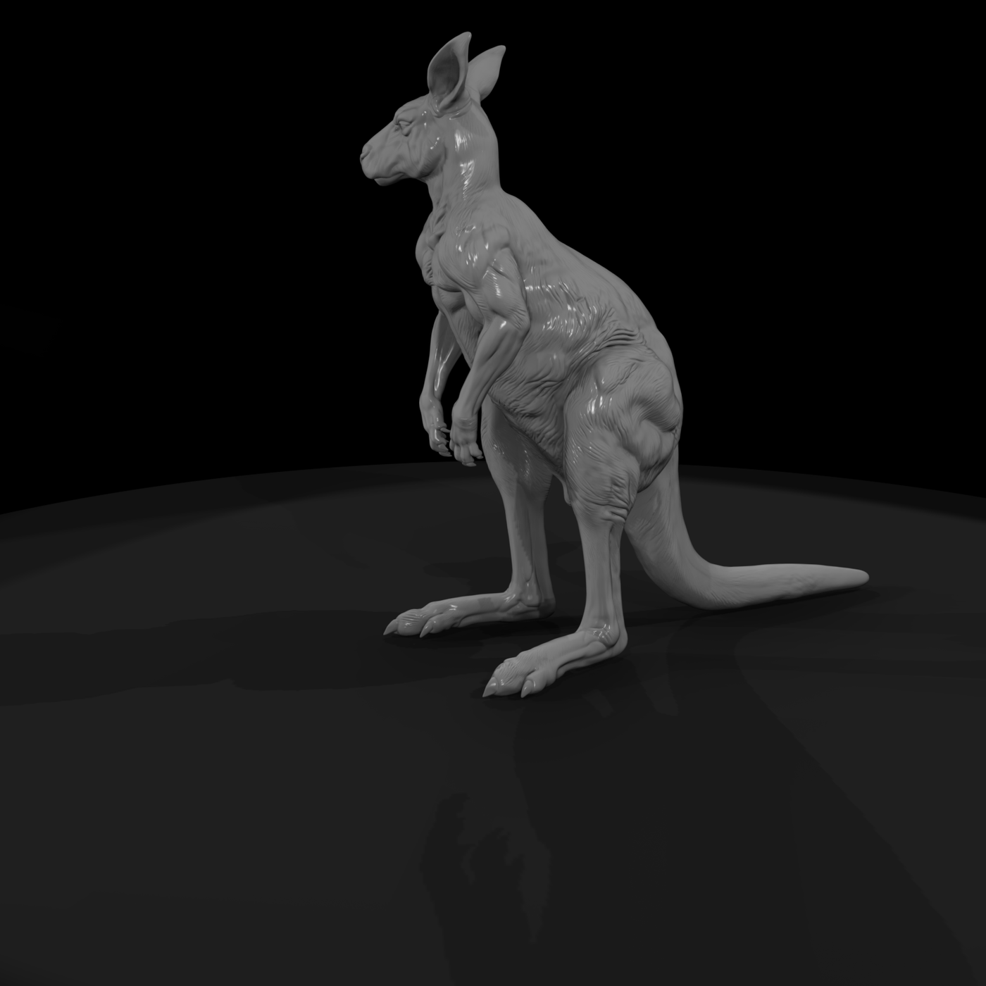 Ant 079 Red Kangaroo Male