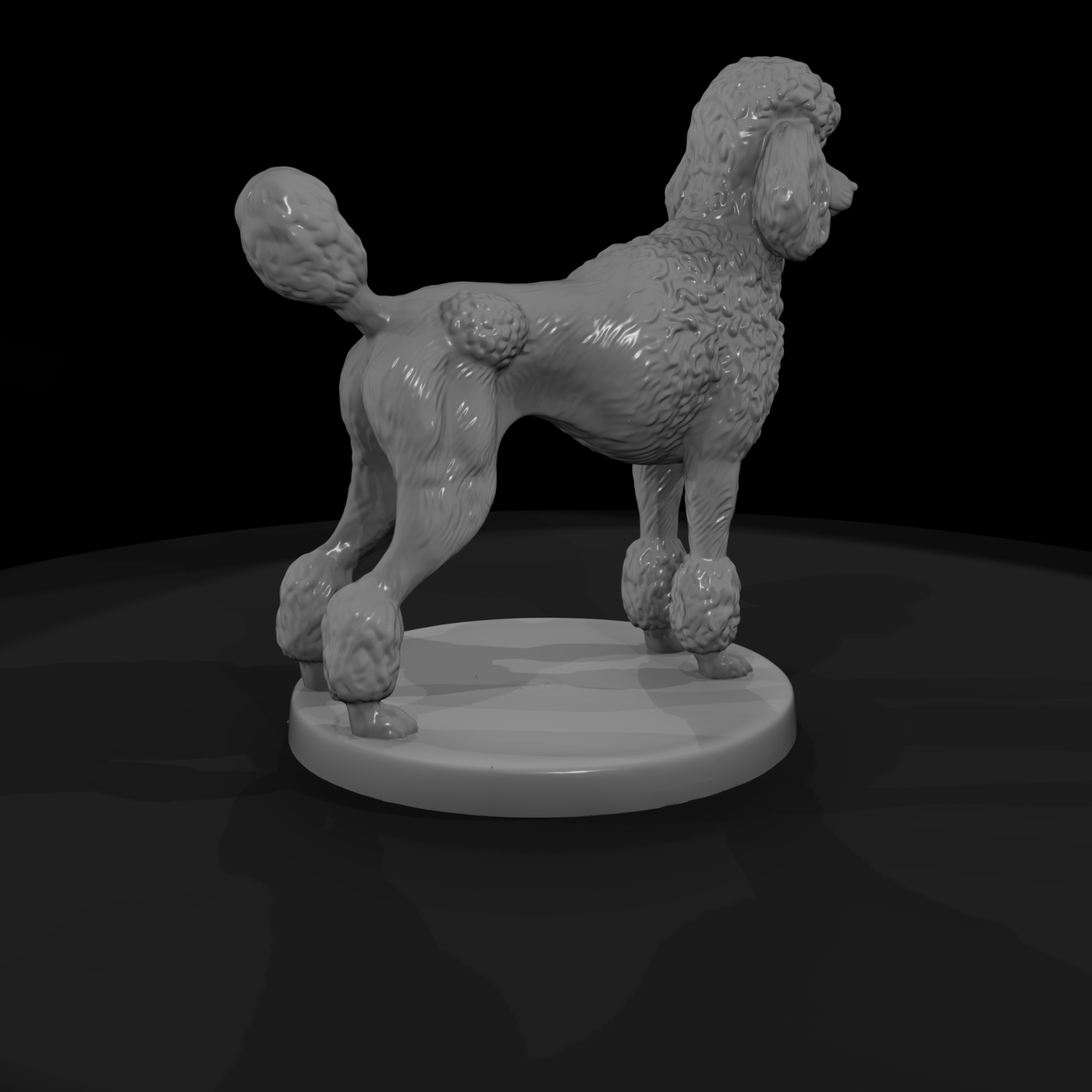 Standing Standard Poodle