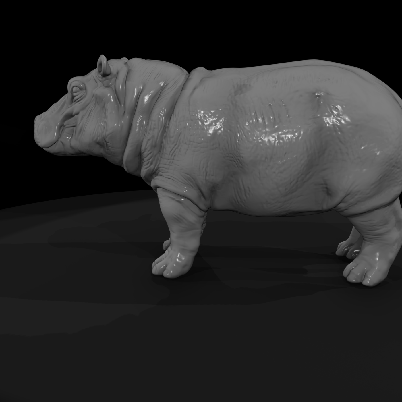 Ant 036 Hippopotamus Adolescent