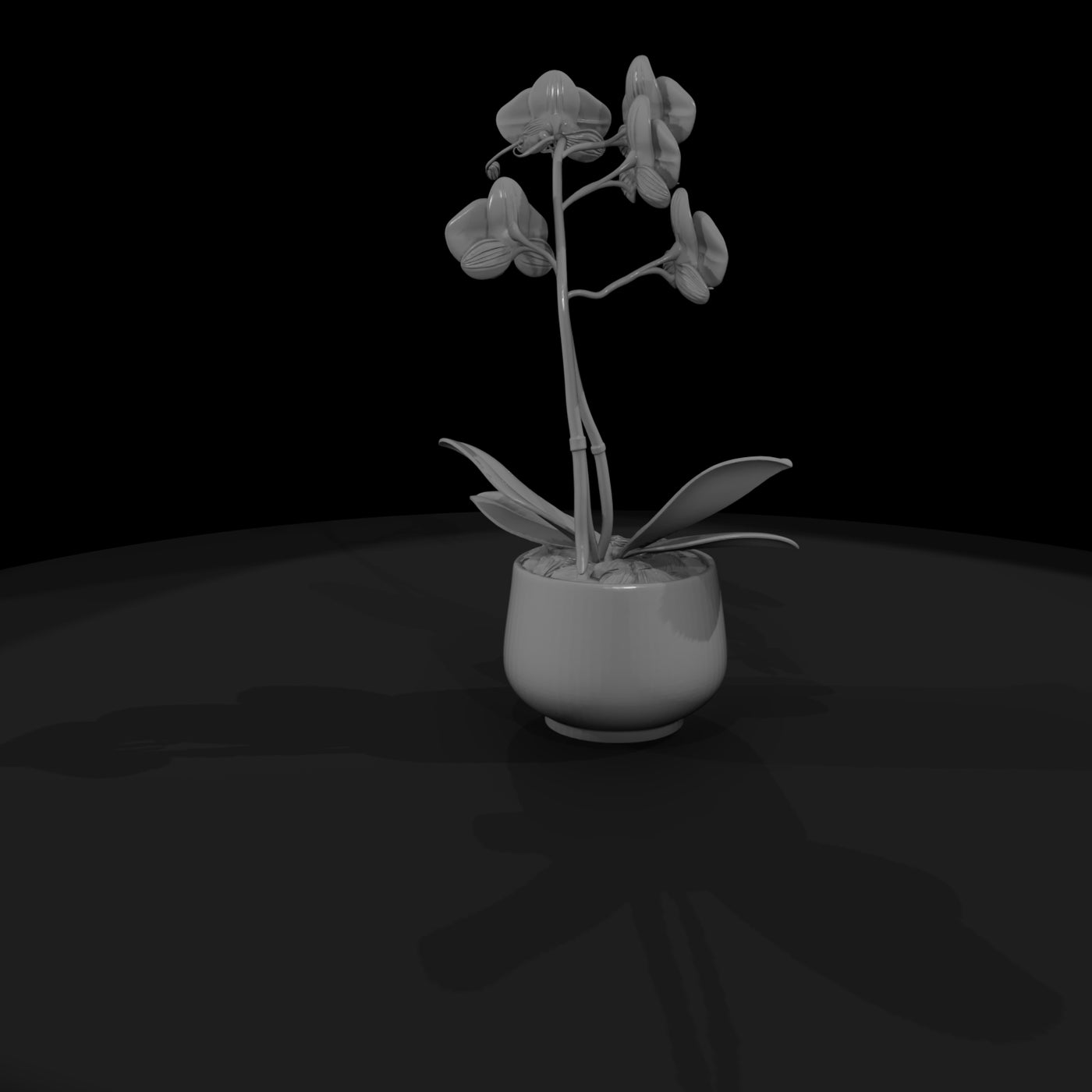 stylized-monochrome-potted-orchid-3d-model-xfzrzzj