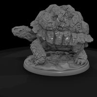 armored-rock-tortoise-043803 — thumbnail 6