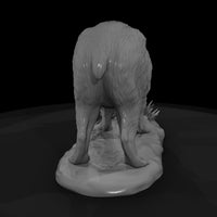ant-257-capybara-female — thumbnail 5