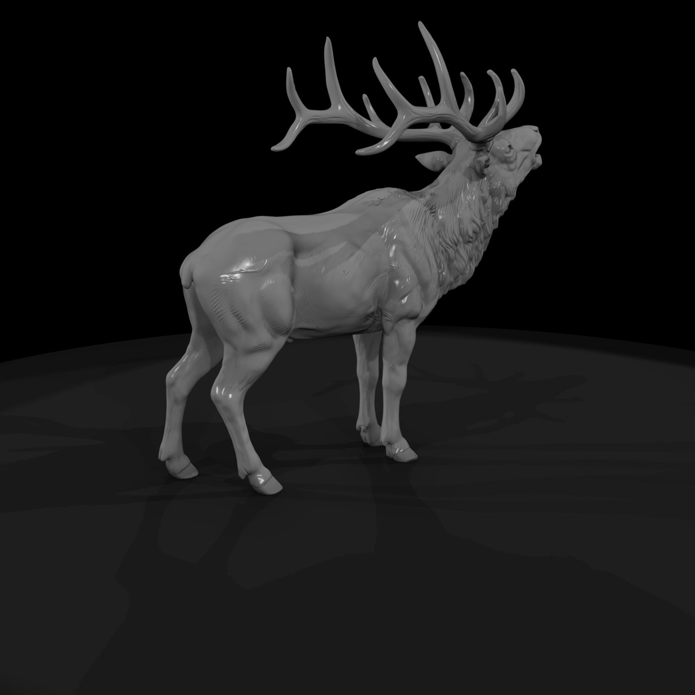 ww-0331-animal-elk