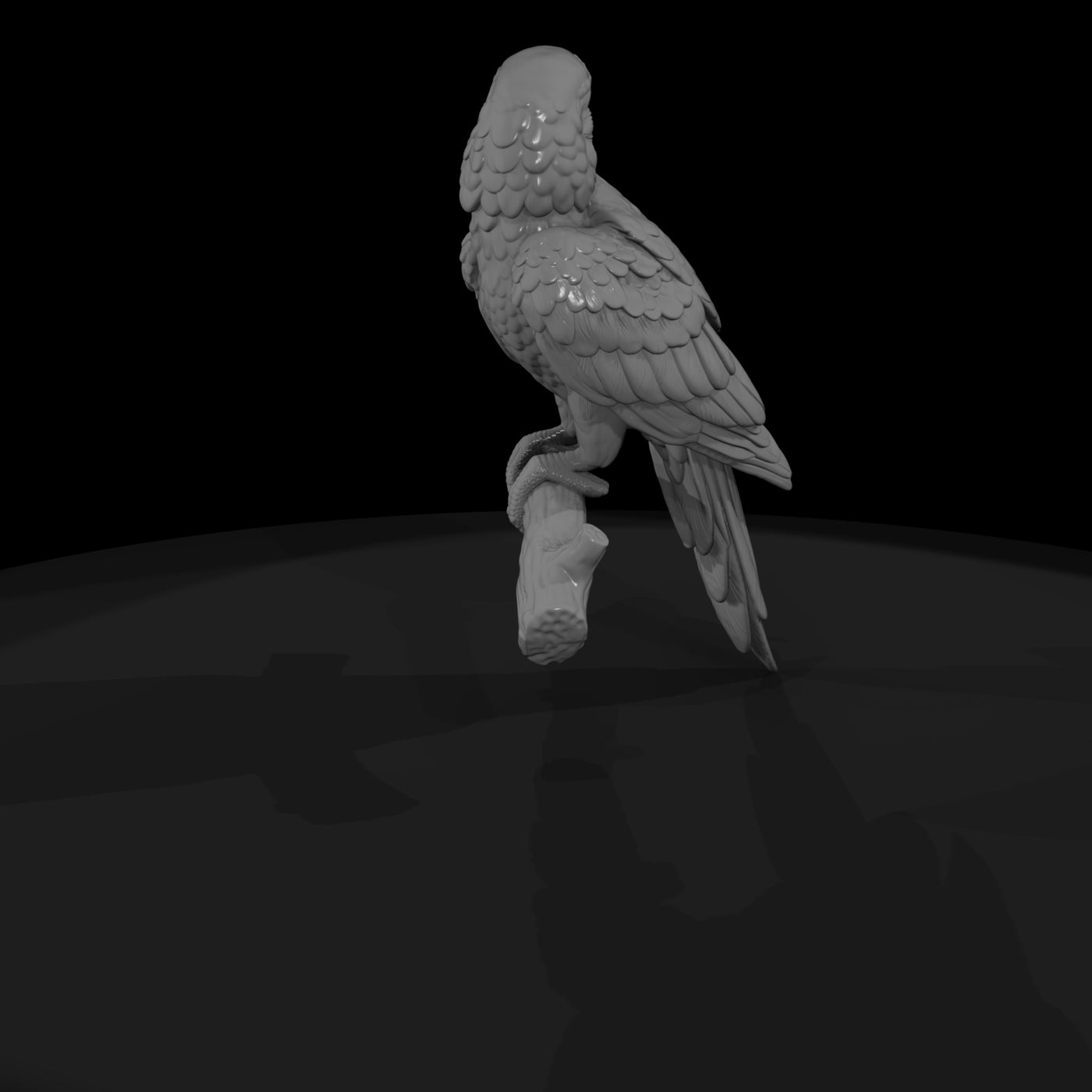 ant-284-scarlet-macaw-female