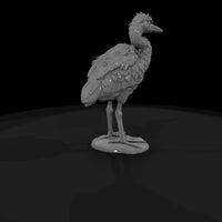 ant-291-great-blue-heron-adolescent — thumbnail 5