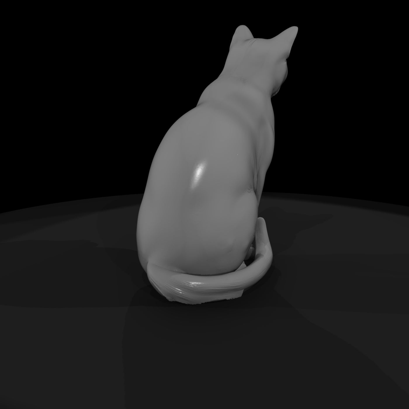 stylized_3d_sitting_house_cat_rx7729zn