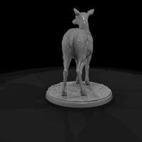 ant-044-elk-female — thumbnail 5