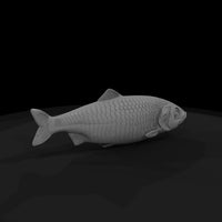 realistic-herring-fish-miniature-for-dioramas-displays-706325 — thumbnail 6