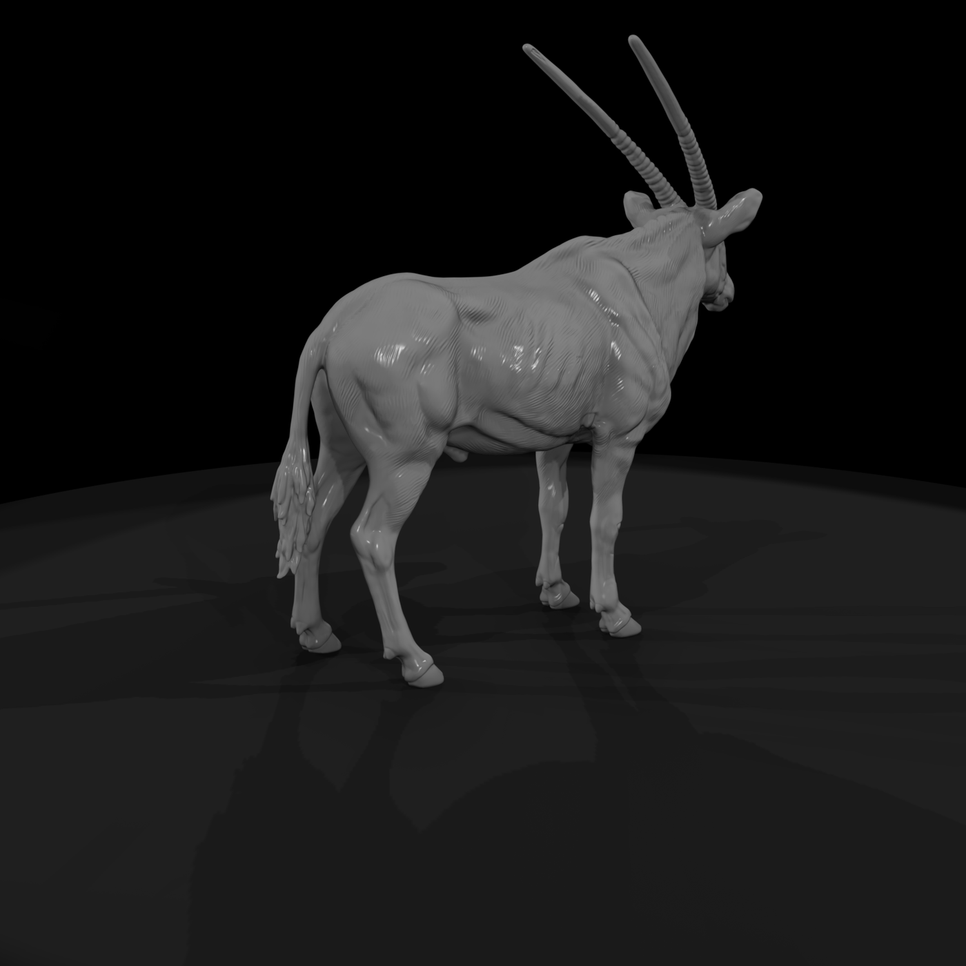 Ant 229 Gemsbok Male