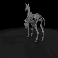 skeletal-horse-miniature-128260 — thumbnail 5