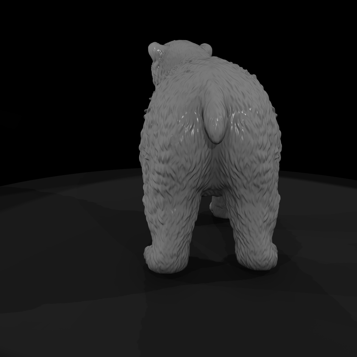 Young Polar Bear Standing