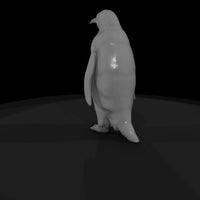 ant-124-emperor-penguin-male — thumbnail 5