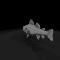 spotted-cod-for-dioramas-and-model-layouts-124387 — thumbnail 6