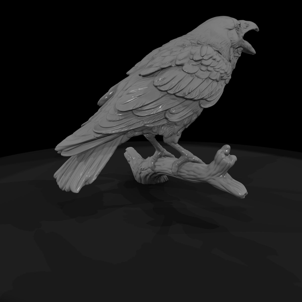 ww-0347-animal-common-raven