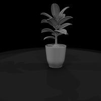 untextured-potted-rubber-plant-3d-model-gkku0lue — thumbnail 5