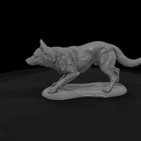 ww-0306-animal-cattle-dog — thumbnail 5
