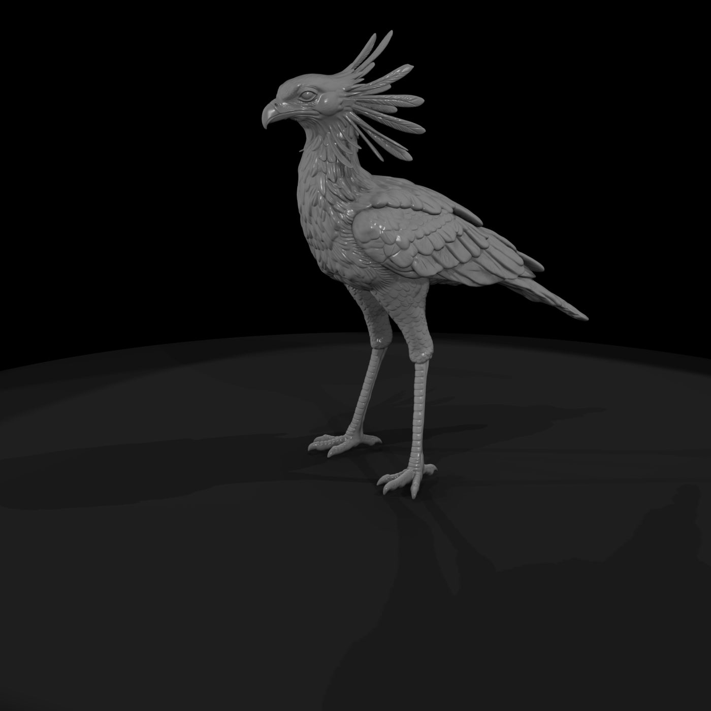 ant-293-secretary-bird-female