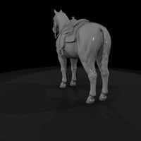 rodeo-horse — thumbnail 7