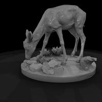 ant-236-thomson-s-gazelle-female — thumbnail 5