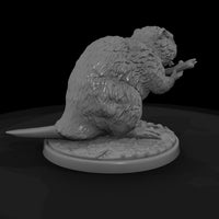 ant-187-beaver-male — thumbnail 5