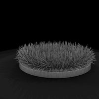 stylized-dry-grass-planter-966614 — thumbnail 6