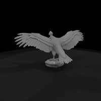 ant-296-andean-condor-female — thumbnail 5