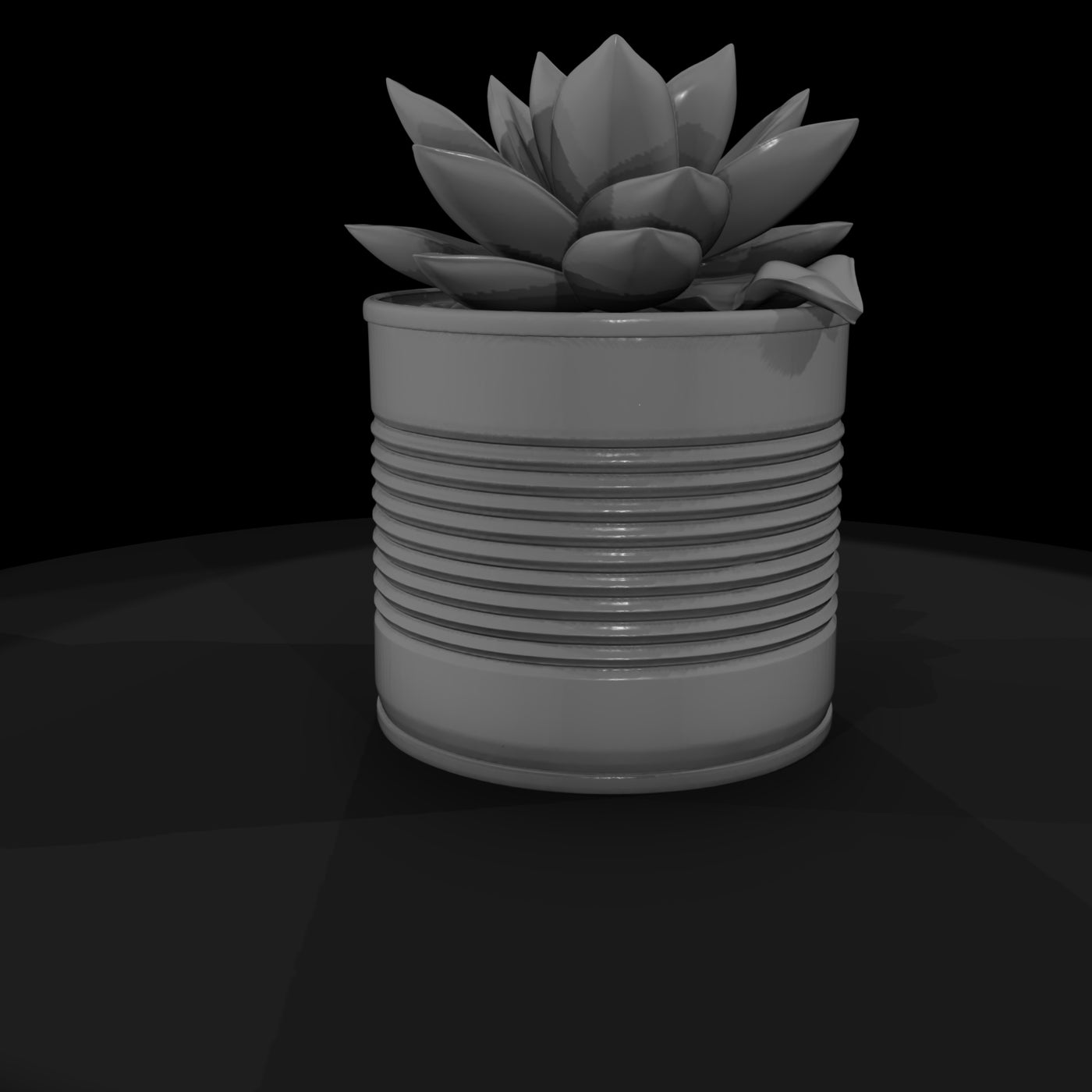 stylized-monochrome-succulent-tin-can-planter-3d-m