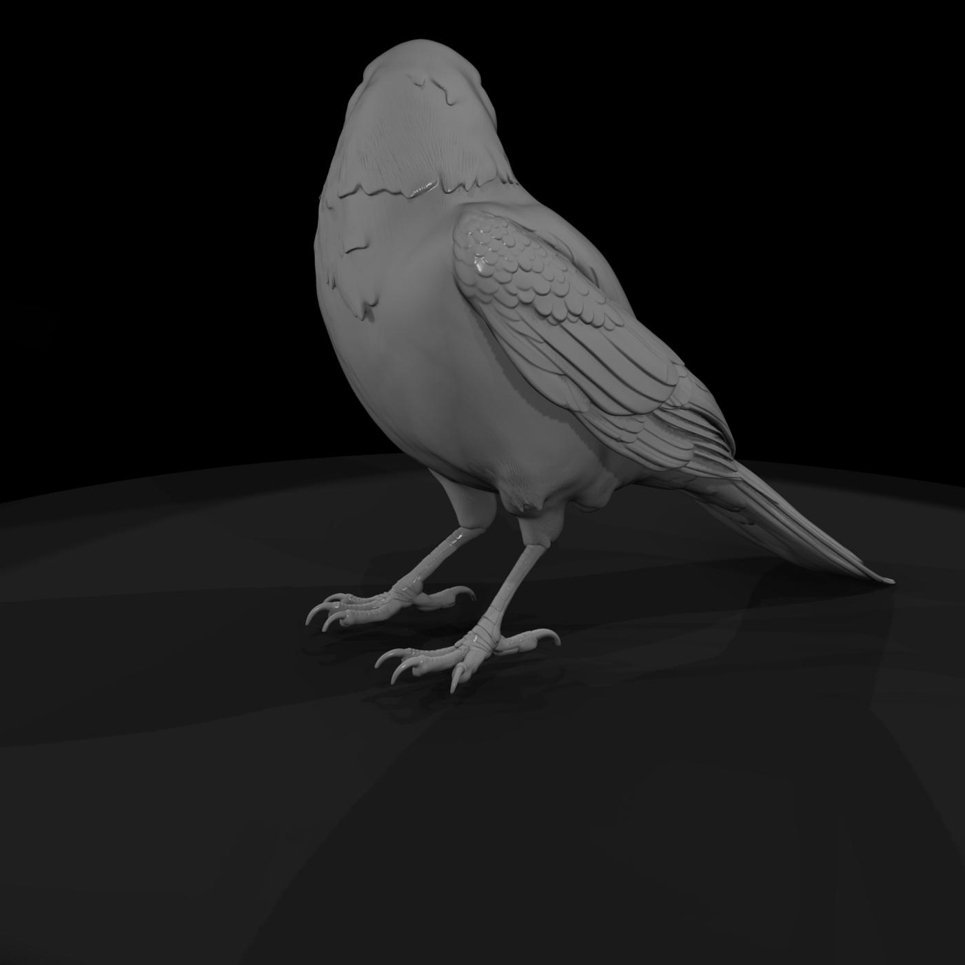 20260612 Black Crow Bird B98Ca4224B