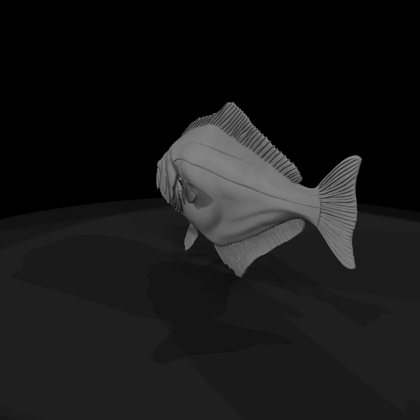 halibut-flatfish-miniature-for-dioramas-displays-346343