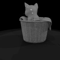 a-collection-of-housecats-curious-262ed8b6-meshref — thumbnail 5