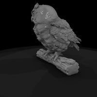 ant-120-great-horned-owl-adolescent — thumbnail 5