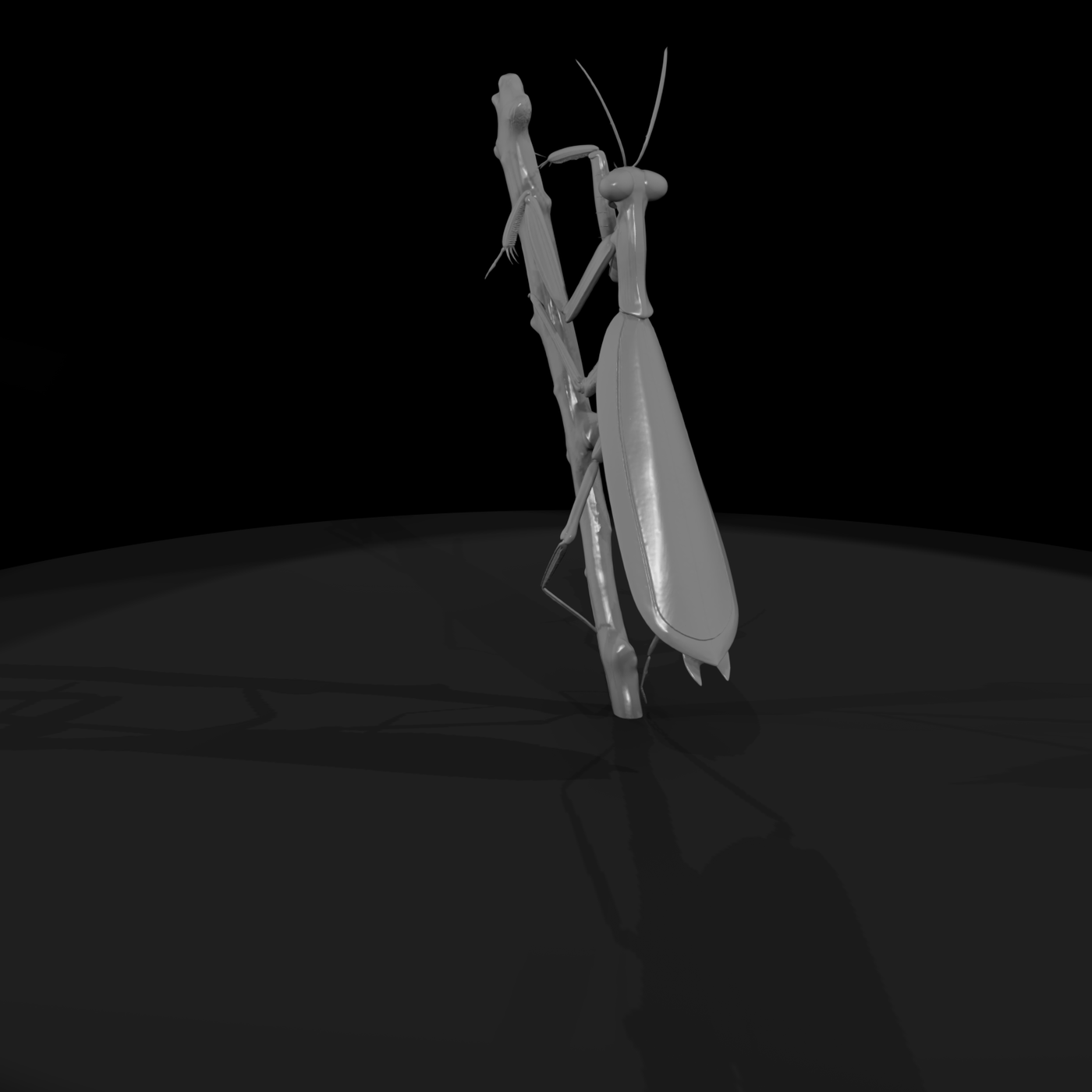 Praying Mantis — Accent