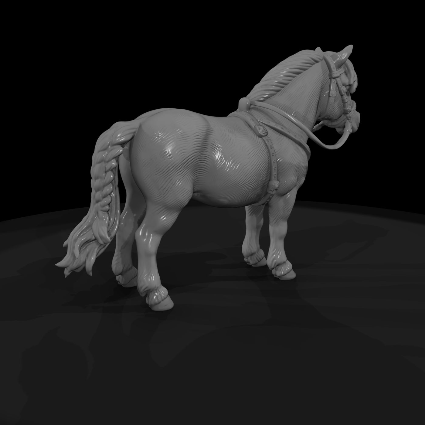cir-132-animal-miniature-pony