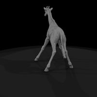 ant-027-giraffe-adolescent — thumbnail 5