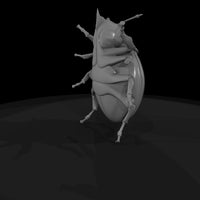 stylized-ladybug-diorama-accent-401551 — thumbnail 6