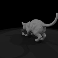 a-collection-of-housecats-bengal-82b24b8e-meshref — thumbnail 5