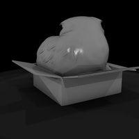 scottish-fold-cat-in-cardboard-box-diorama-miniature-256616 — thumbnail 6