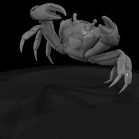 1980s-miami-beach-crab — thumbnail 7