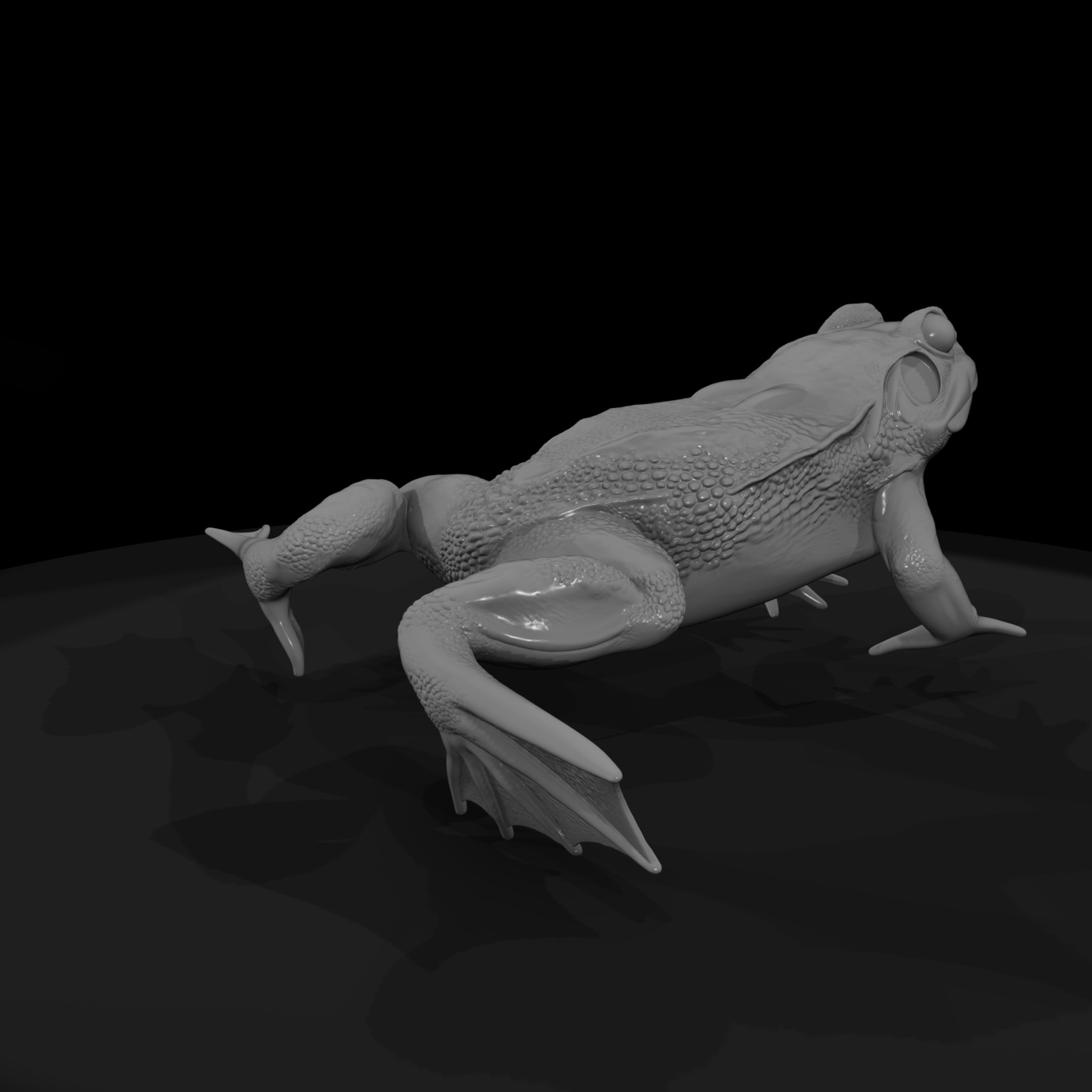 Winged Fantasy Frog