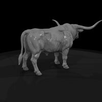ww-0296-animal-longhorn-bull — thumbnail 5