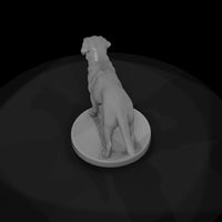 anim-01-labrador-retriever-15c005 — thumbnail 7