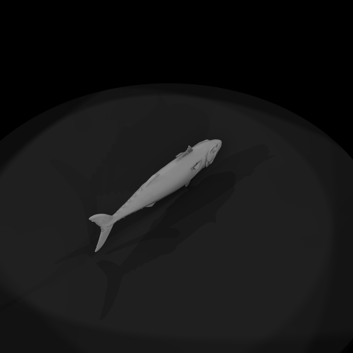 Atlantic Mackerel