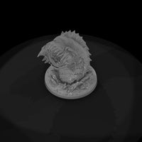 ridged-dune-worm-164781 — thumbnail 8
