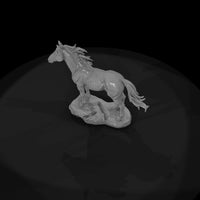 ww-0287-animal-wild-mustang — thumbnail 6