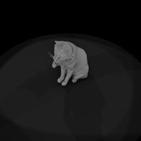 a-collection-of-housecats-grooming-bff3a161-meshre — thumbnail 6