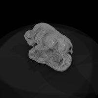ant-049-american-bison-male — thumbnail 6