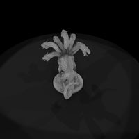 fmon-29-multi-headed-hydra-2b1b35 — thumbnail 9