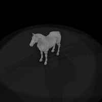 chestnut-horse-miniature-984853 — thumbnail 6