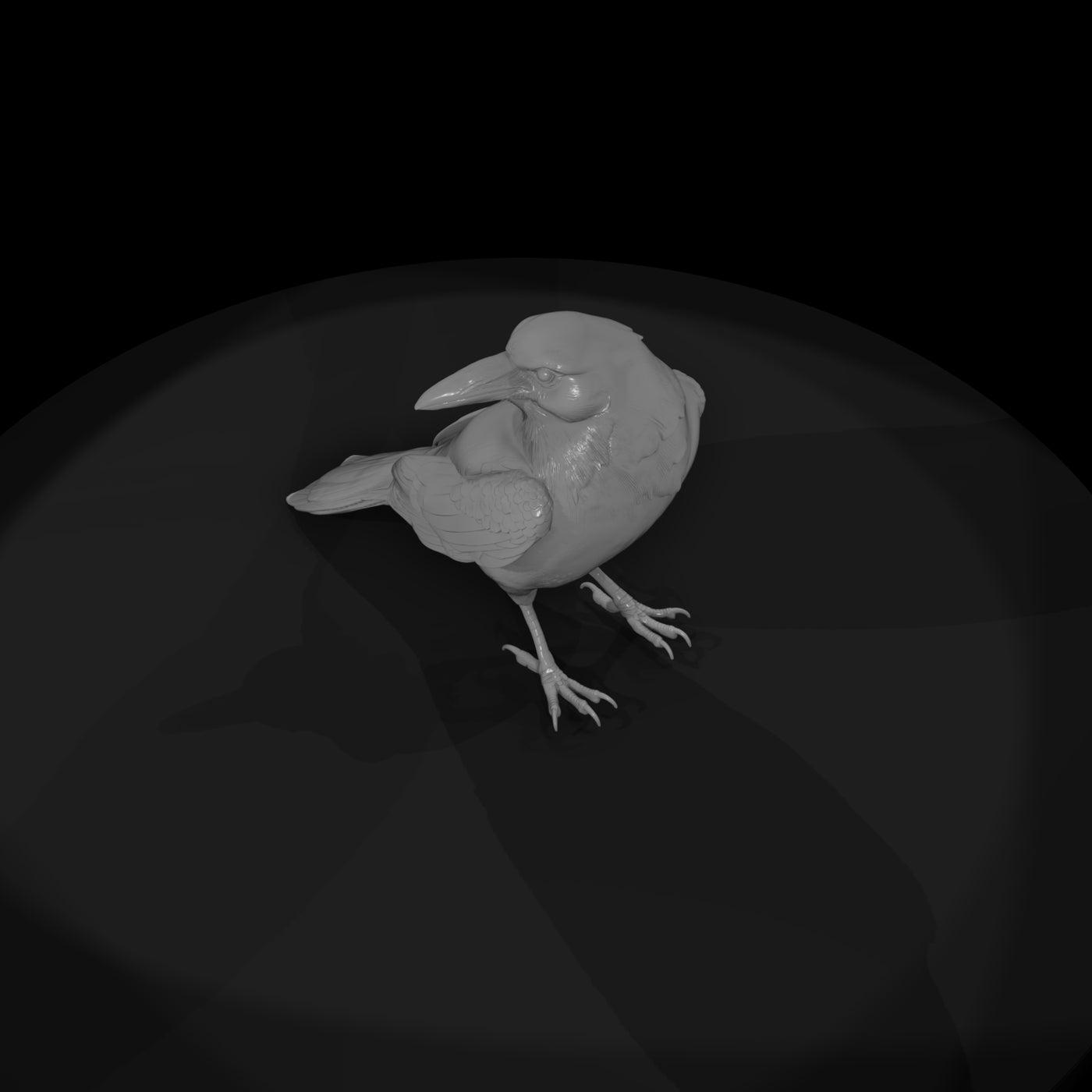 20260612-black-crow-bird-b98ca4224b