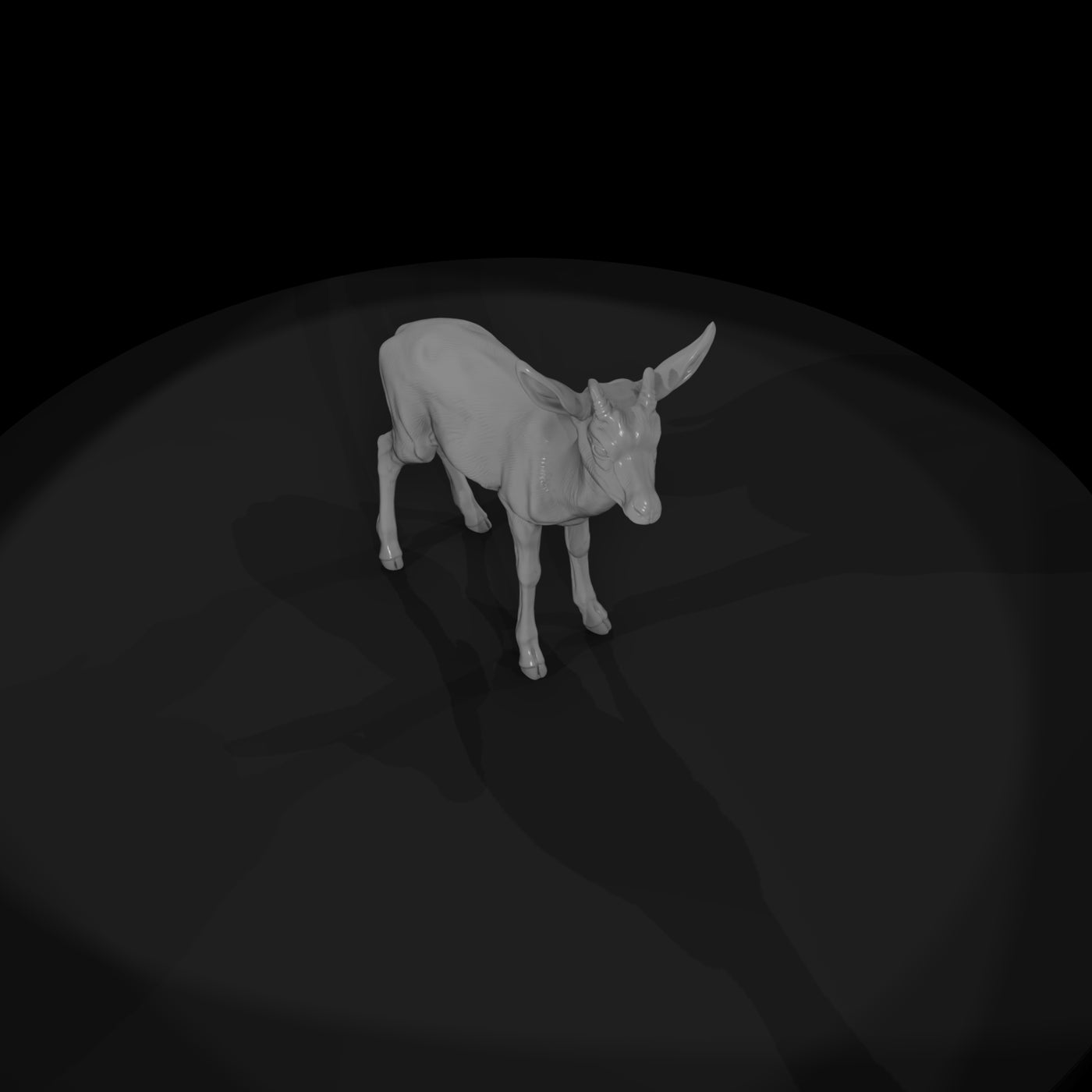 ant-240-springbok-adolescent